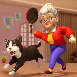 Cat And Granny