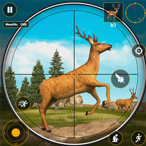 Contract Deer Hunter
