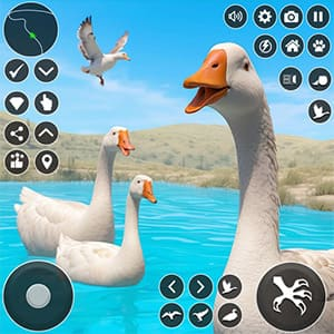 Crazy Goose Simulator