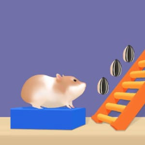 Hammer Playground Maze